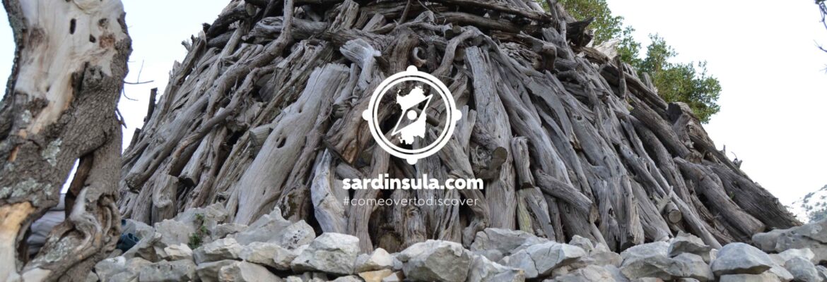 Trekking sul Limbara con Sardinsula