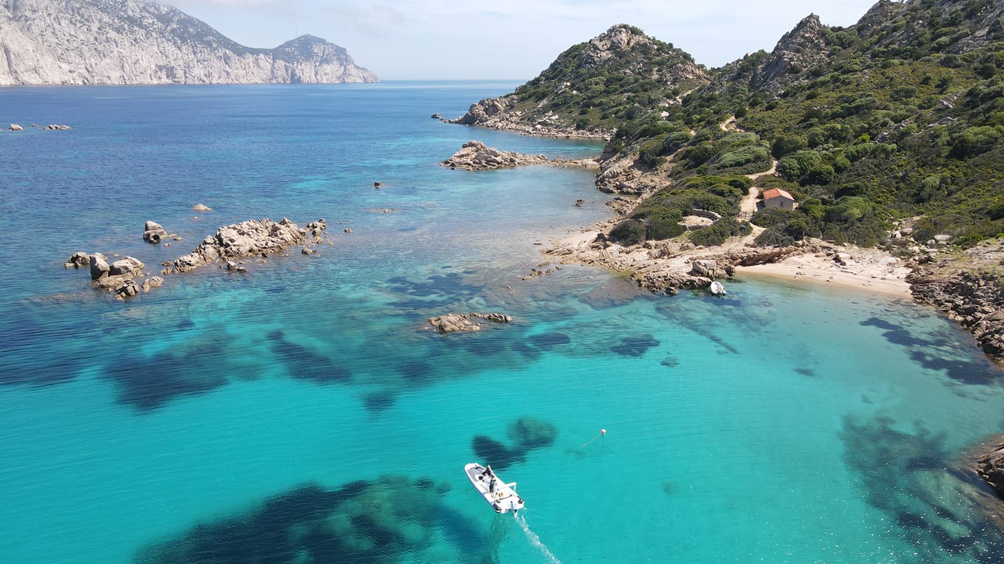 Escursioni nell’area Marina Protetta di Tavolara