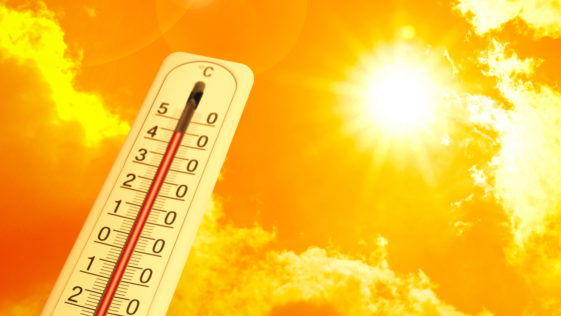 caldo